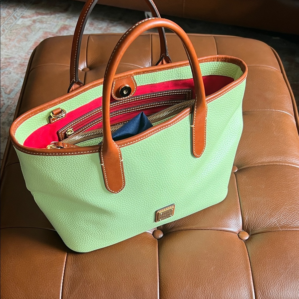 Dooney & Bourke Mint Green and Brown Leather Bag